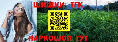 индика Абакан