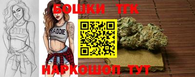 индика Абакан