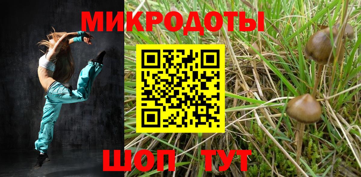 Галлюциногенные грибы Cubensis Апатиты