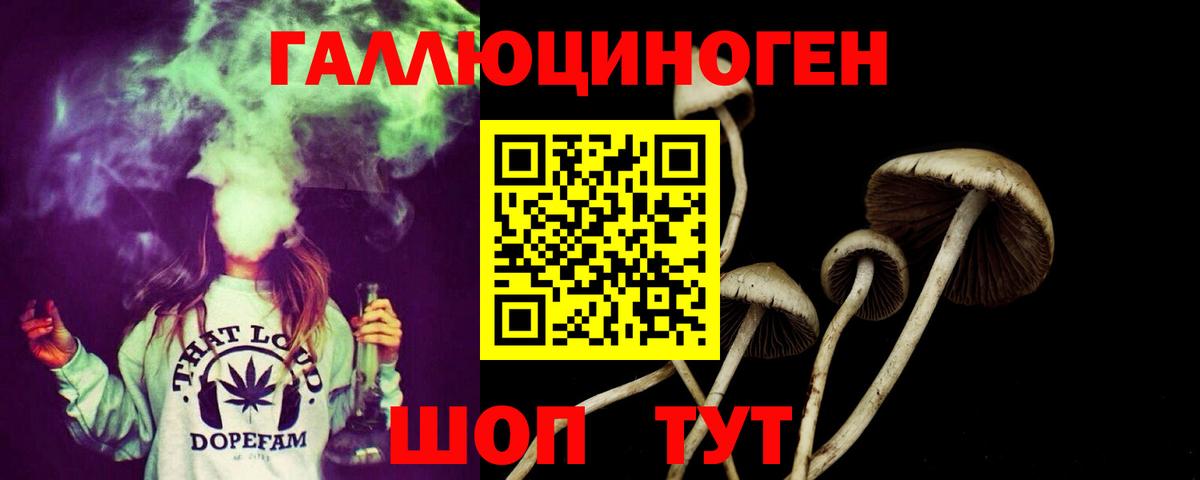 Галлюциногенные грибы Cubensis  Галлюциногенные грибы мицелий  хочу наркоту  Вход с VPN  Апатиты 